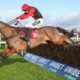 Lucky 15 Tips: Four horses to back on Wednesday 23rd February