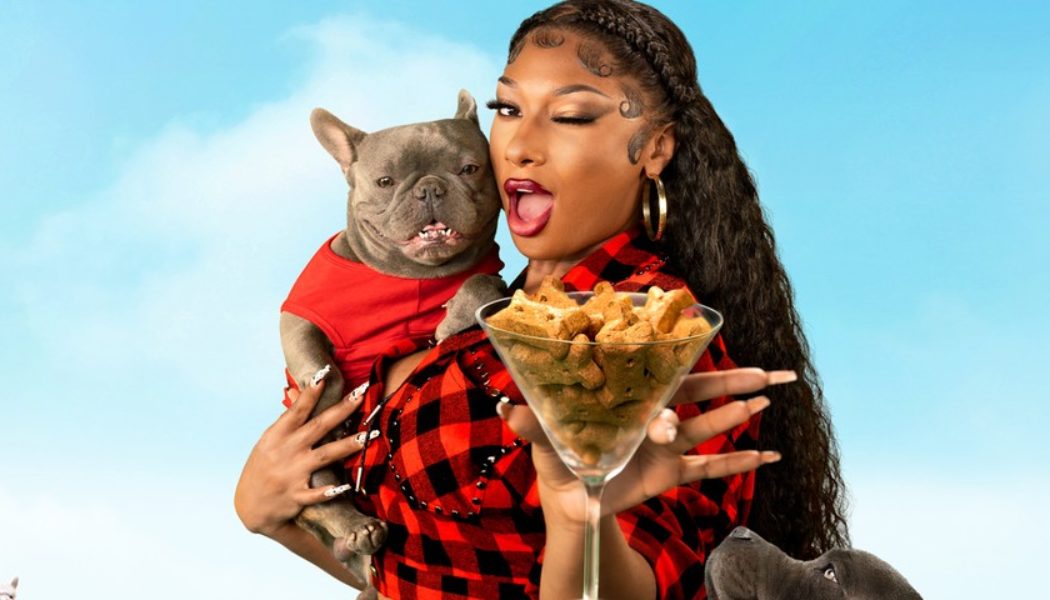 Megan Thee Stallion Is the Ultimate Dog-Mom in Her New Snapchat Show