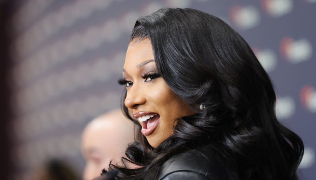 Megan Thee Stallion Joins Nathan Lane In A24’s Musical Comedy ‘F*cking Identical Twins’