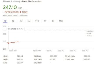 Meta’s stock price plunges 25 percent overnight