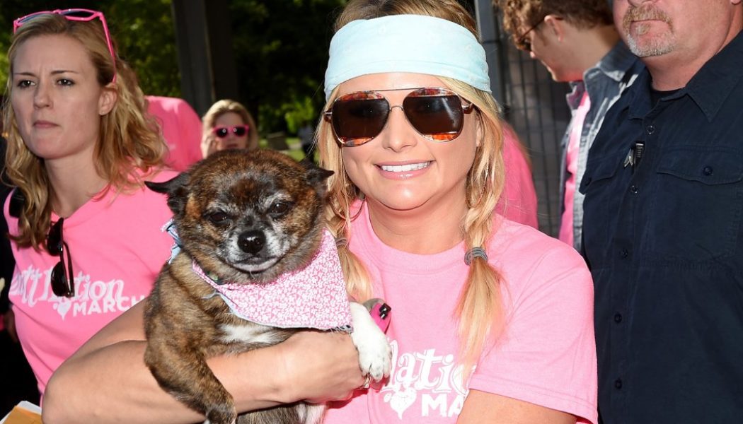 Miranda Lambert’s MuttNation Foundation Gifts $20K to Animal Shelters