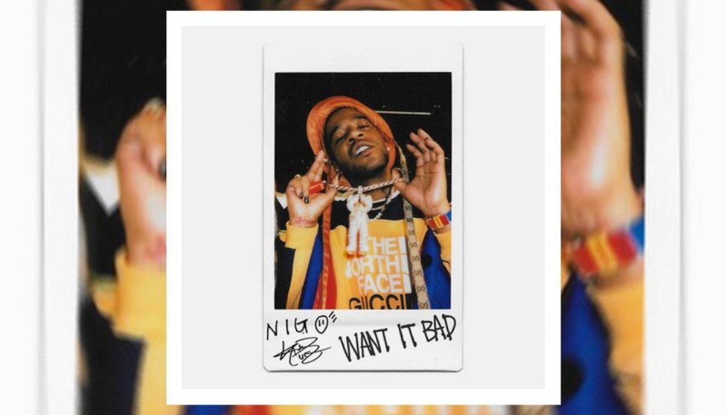 NIGO and Kid Cudi Drop “Want It Bad”