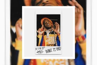 NIGO and Kid Cudi Drop “Want It Bad”