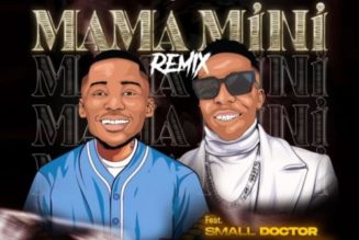 Olatop Ekula ft Small Doctor – Mama Mini ( Remix)