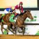 Saudi Cup free bets and betting offers for 2022 race