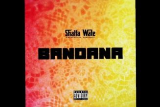 Shatta Wale – Bandana