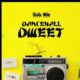 Shatta Wale – Dancehall Dweet