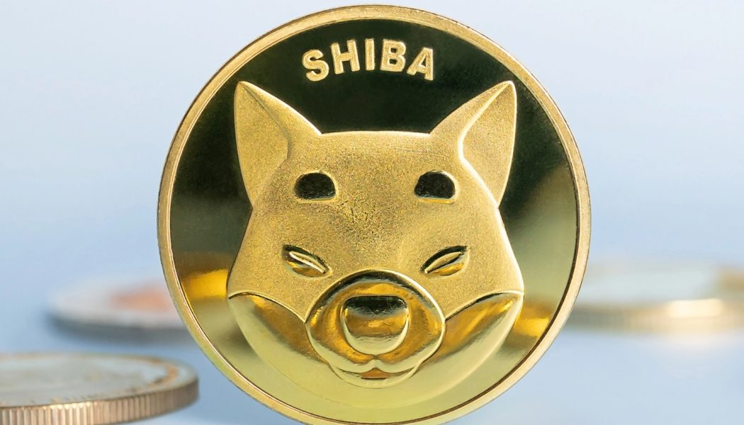 Shiba Inu leading Dogecoin in gains, SHIB up over 23% on the day