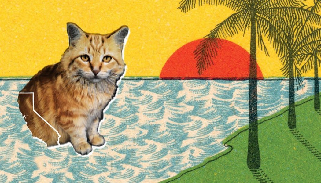 Snacks, Bethany Cosentino’s Pet Cat and Best Coast Album Cover Star, Has Died