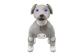 Sony Launches Aibo Robot Dog in ‘Black Sesame’ Edition