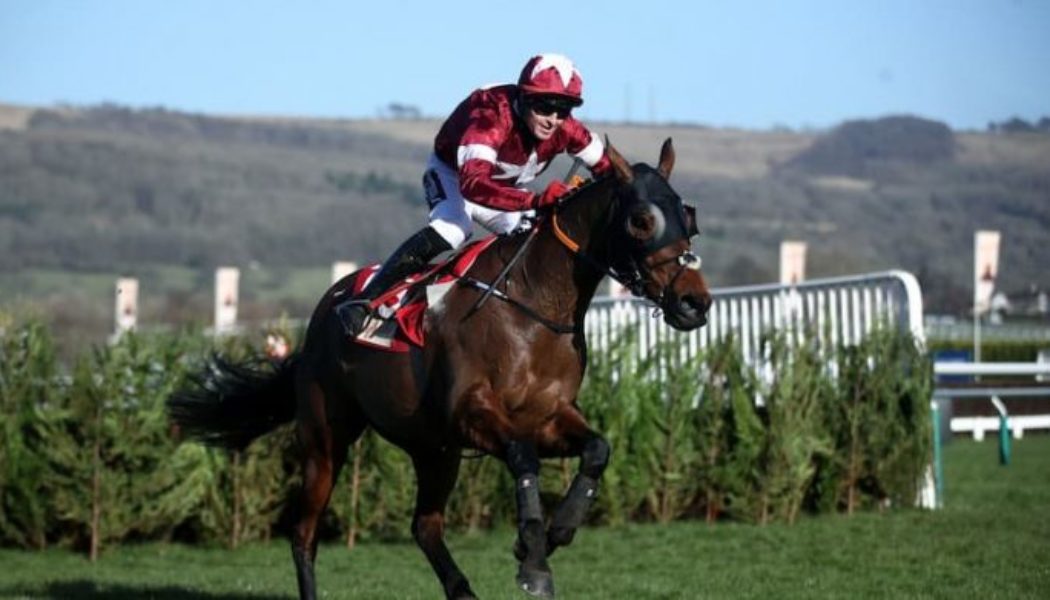 Tiger Roll: Five time Cheltenham winner set for last race at the Festival