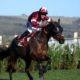 Tiger Roll: Five time Cheltenham winner set for last race at the Festival