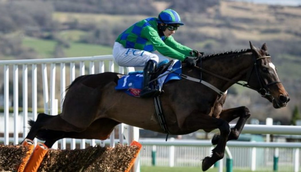 12 Paul Townend Cheltenham Rides for Leading Festival Jockey Favourite