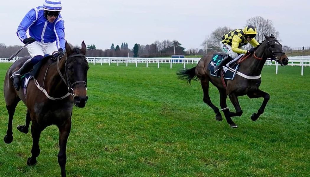 2023 Champion Chase Odds – Shishkin Bubble Burst or Will Better Ground Find Energumene Out?