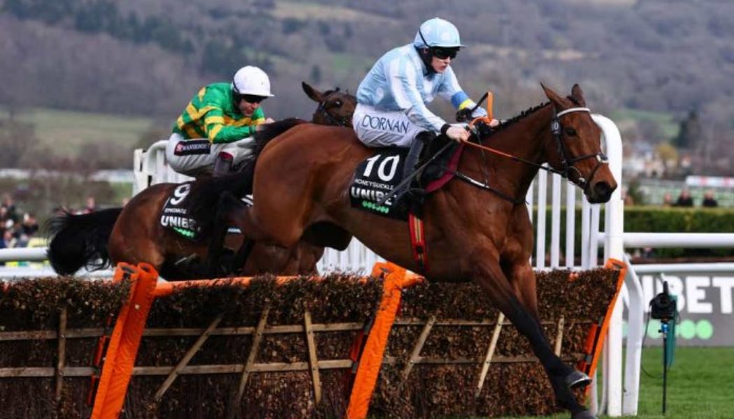 2023 Champion Hurdle Odds – Hat-Trick for Honeysuckle or Can Constitution Hill Spoil the Party?