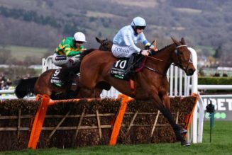 2023 Champion Hurdle Odds – Hat-Trick for Honeysuckle or Can Constitution Hill Spoil the Party?