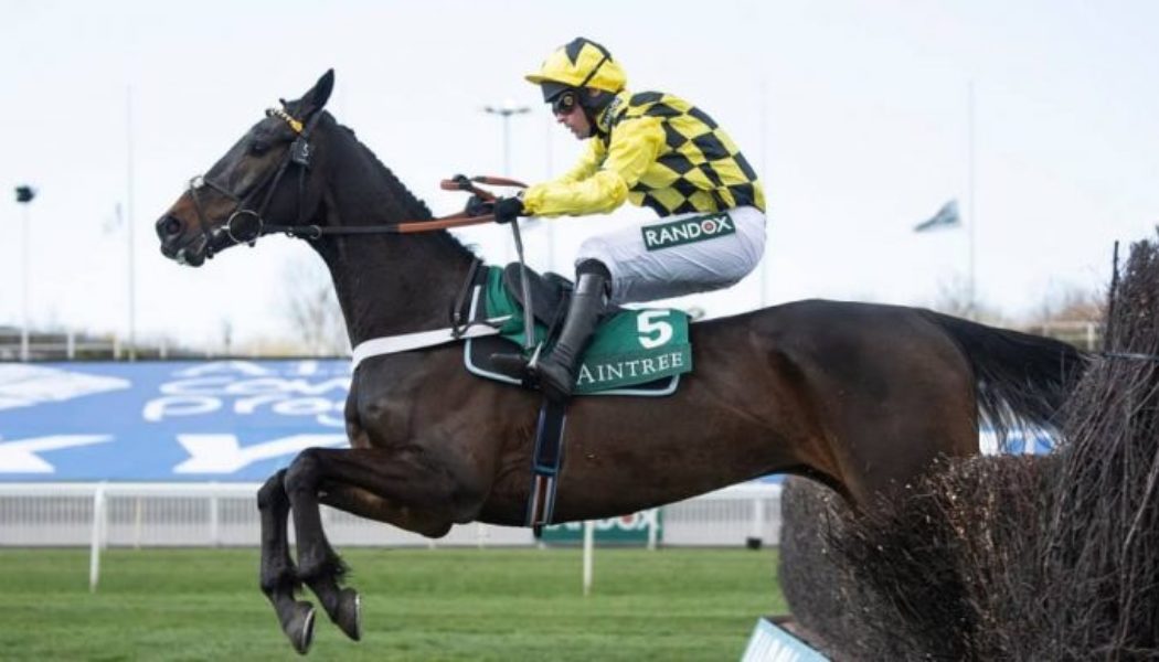 Best Bookmaker to Bet on Shishkin in the Champion Chase at Cheltenham