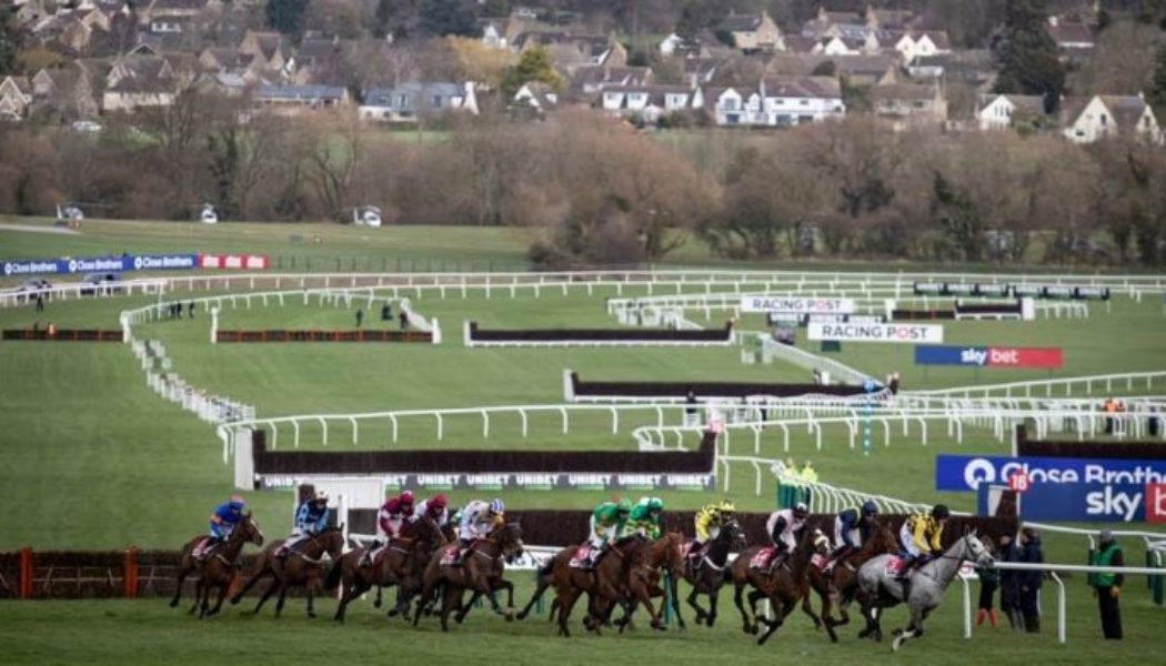 Best Cheltenham Betting Offers for Day 1 | Free Bets for Cheltenham Festival Opening Day