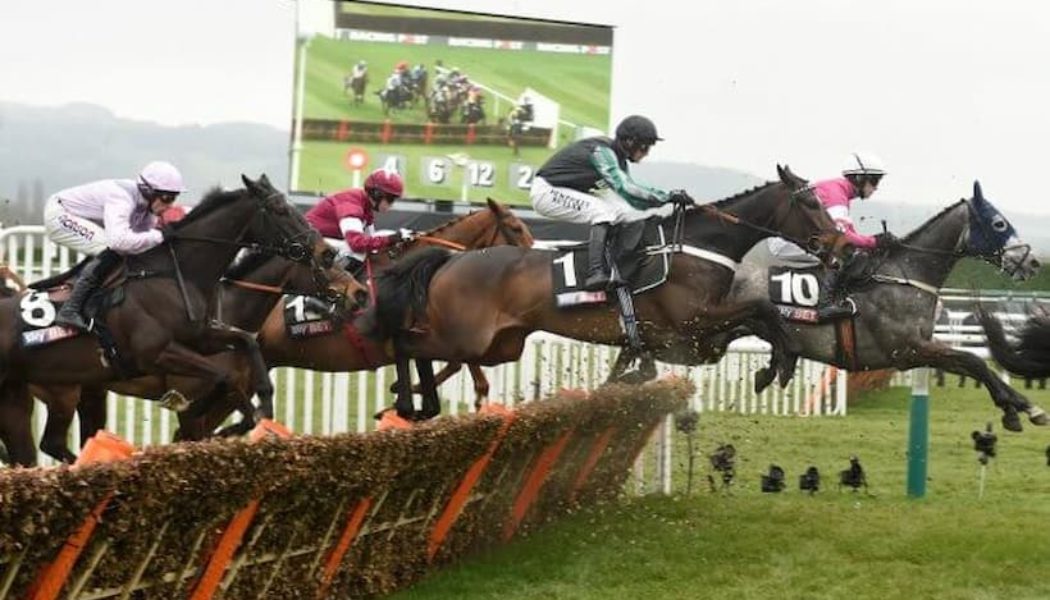 Best Cheltenham Betting Offers for the Supreme Novices’ Hurdle