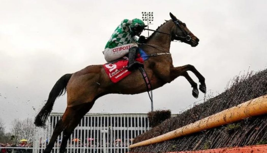 Best Cheltenham Betting Site to Bet on Constitution Hill in the Supreme Novices Hurdle