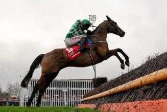 Best Cheltenham Betting Site to Bet on Constitution Hill in the Supreme Novices Hurdle