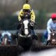 Best Cheltenham Extra Places Betting Sites for Day 3