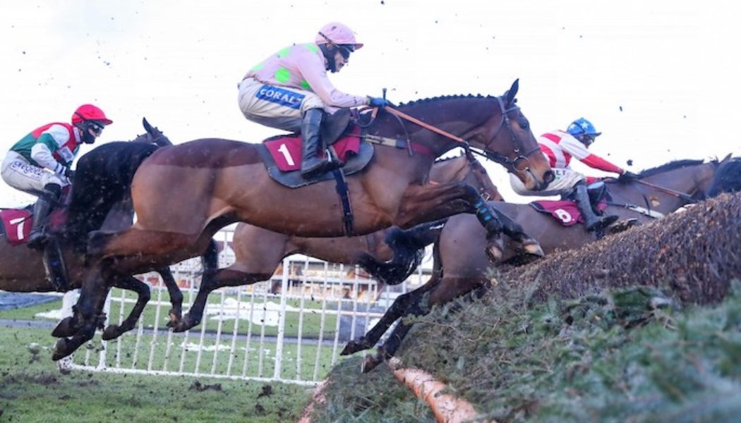 Best Cheltenham Sign Up Offers | £550+ in Cheltenham Free Bets