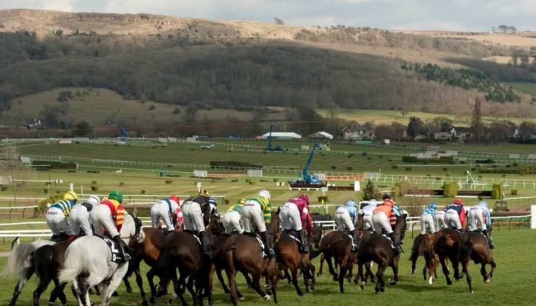 Cheltenham Extra Places Betting Sites – See The Top 5 For The Festival