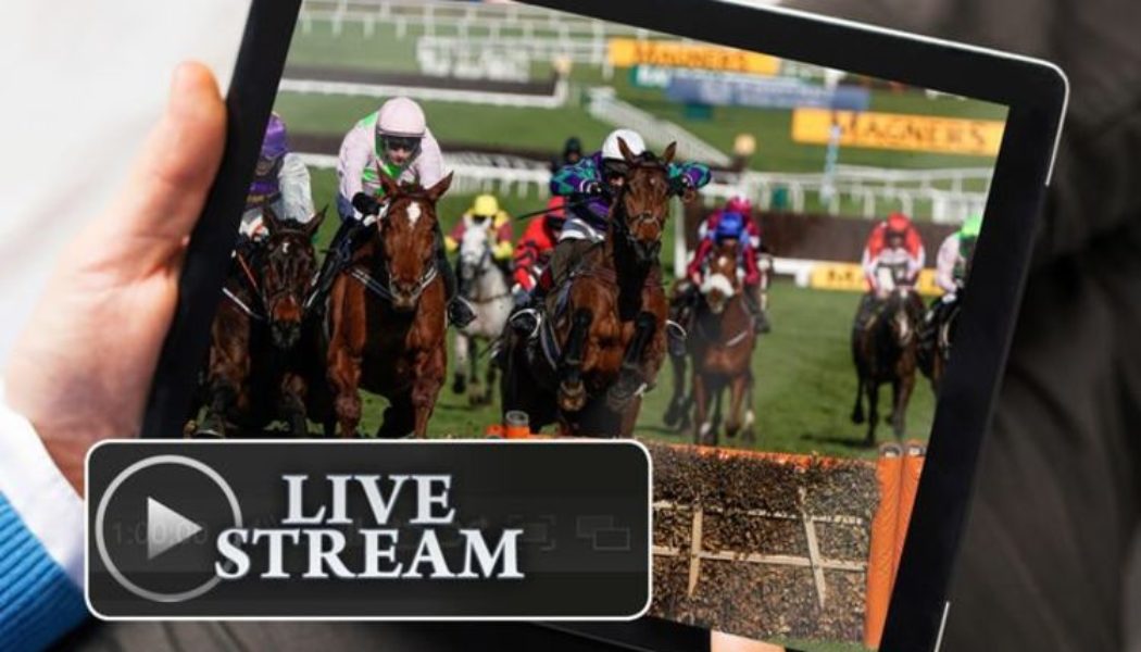 Cheltenham Live Stream: How to watch Cheltenham Festival Live Stream for Free