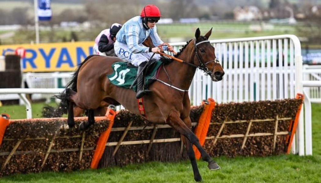 Cheltenham Tips: Mares Hurdle Predictions and Best Bets