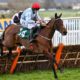 Cheltenham Tips: Mares Hurdle Predictions and Best Bets