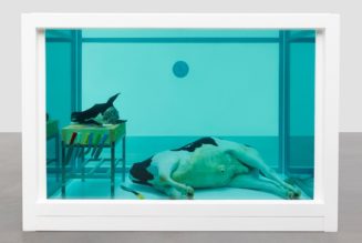 Gagosian Herds Damien Hirst’s Formaldehyde Sculptures for “Natural History” Exhibition