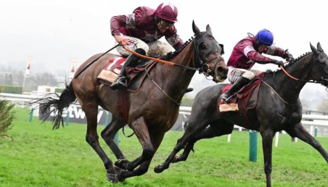 Grand National Runners That Raced At Cheltenham