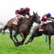 Grand National Runners That Raced At Cheltenham