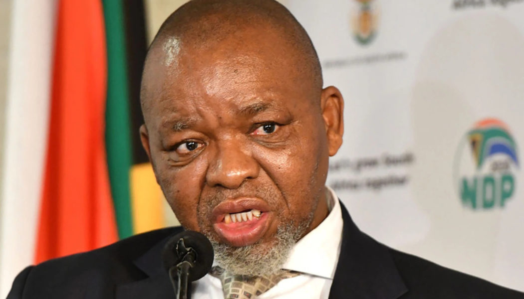 Gwede Mantashe Confirms Plans to Support SAns Amid Petrol Price Hikes