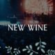 Hillsong Worship – New Wine