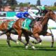 Horse Racing Tips Australia: Sunday’s Free Horse Racing Tips