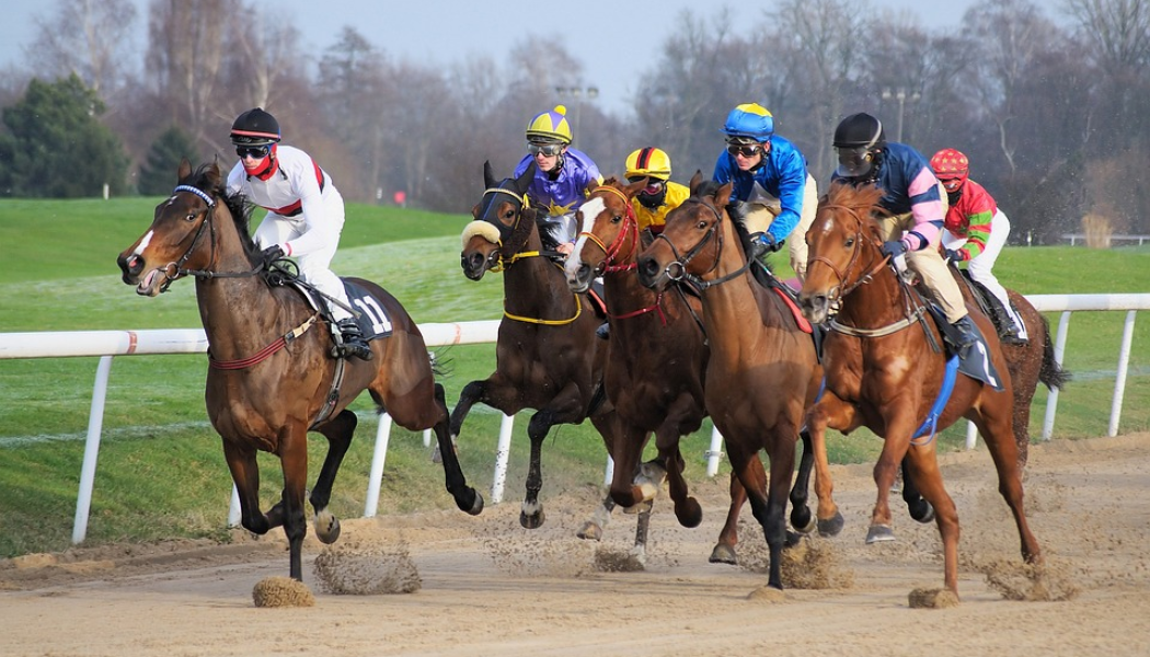 Horse racing tips today: Tuesday’s best UK racing bets