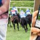 How to Bet on Cheltenham | Cheltenham Festival Betting Guide