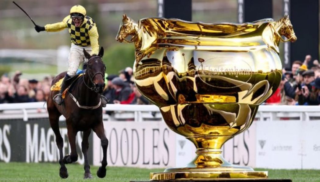 How to Watch the Cheltenham Gold Cup Live Stream | Stream Cheltenham Live