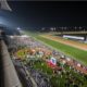 How to Watch the Dubai World Cup For Free | Dubai World Cup Live Stream