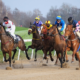 Lucky 15 Tips: Four horses to back on Friday 11th March