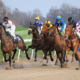 Lucky 15 Tips: Four horses to back on Friday 25th March