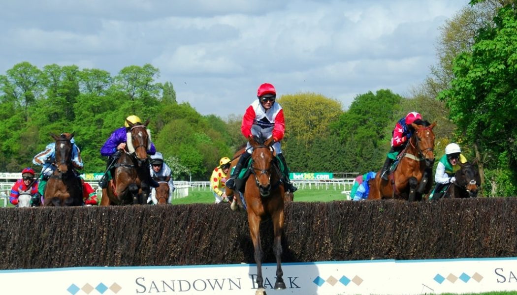 Lucky 15 Tips: Four horses to back on Saturday 12th March