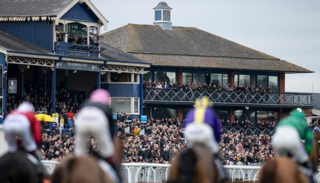 Lucky 15 Tips: Four horses to back on Saturday 19th March