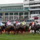 Lucky 15 Tips: Four horses to back on Sunday 20th March