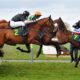 Lucky 15 Tips: Four horses to back on Thursday 10th March