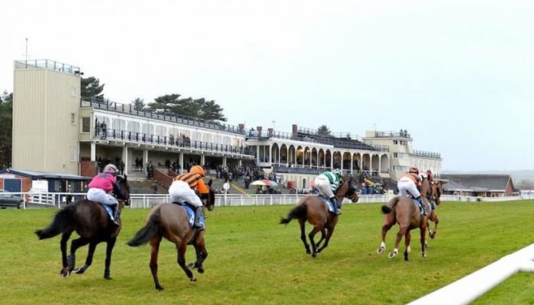 Lucky 15 Tips: Four horses to back on Thursday 24th March