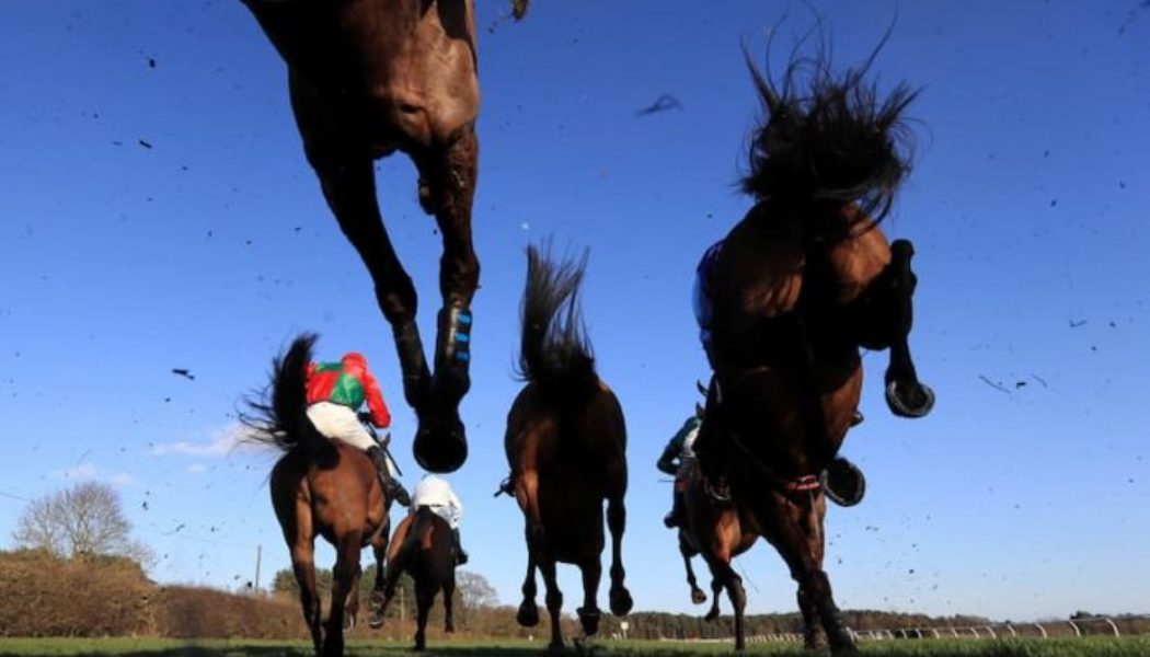 Lucky 15 Tips: Four horses to back on Thursday 31st March