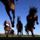 Lucky 15 Tips: Four horses to back on Thursday 31st March